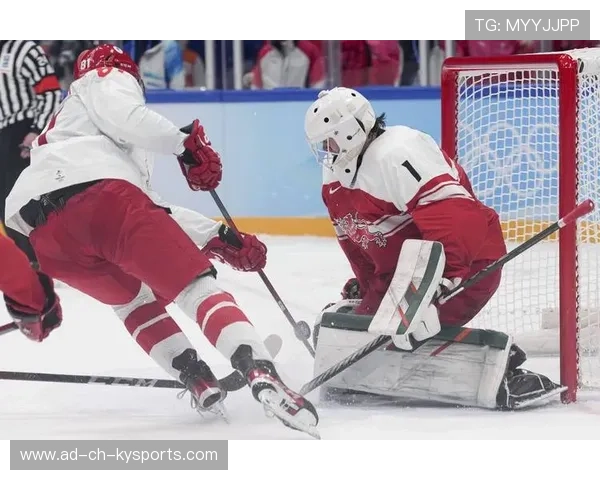 丹麦战队 CPH Wolves 在 RMR 赛事中成功晋级，丹麦小组赛战绩