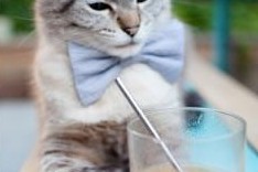 开云中国-滑雪场所安全检查全面开展，滑雪场安全生产检查