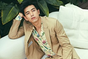 开云-蛙泳滑行长度世界纪录对比，蛙泳 世界记录