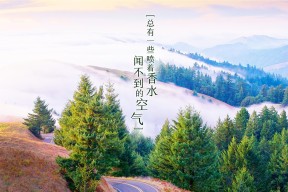 kaiyun网站-冬季运动项目发展现状与趋势，冬季运动项目发展现状与趋势研究