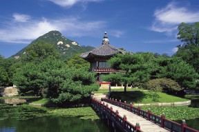 开云-新加坡队赛制解析：如何利用赛制提升整体团队的竞争力，新加坡队第几个出场