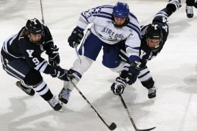 开云全站下载-波兰队的精彩表现：如何在国际乒联混合团体世界杯中脱颖而出，波兰乒乓球联赛