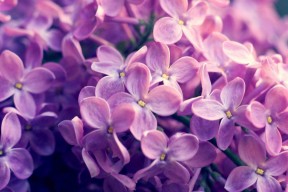 开云体育入口-女子排球选手征战海外联赛表现稳定，谈论国际女子排球的海报的对话