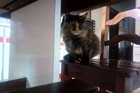 开云注册-布莱顿中场跑动覆盖大幅增强防守面积，布莱顿ds