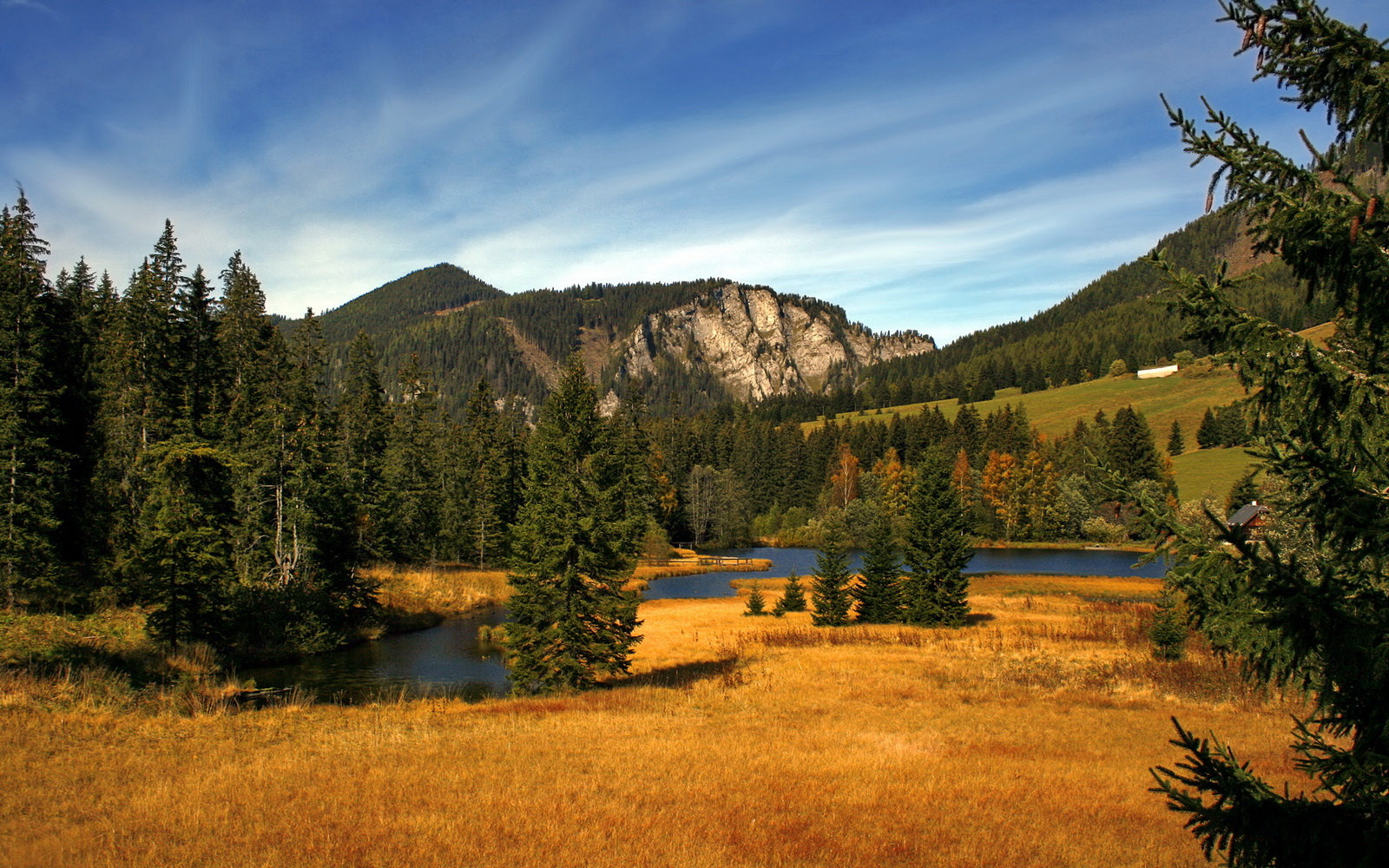中国香港队的崛起之路：如何通过培养全能型球员成为世界强队，香港队伍