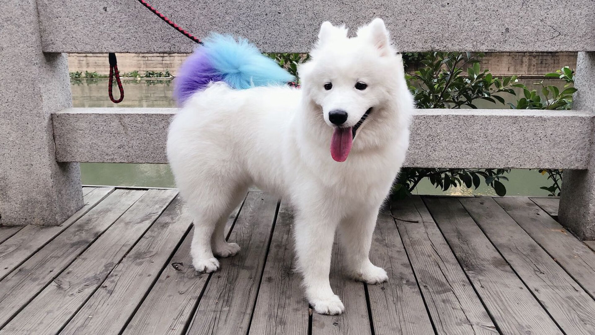 五大联赛中场拦截强度与胜率之间的微妙关联，世界最强拦截型中场