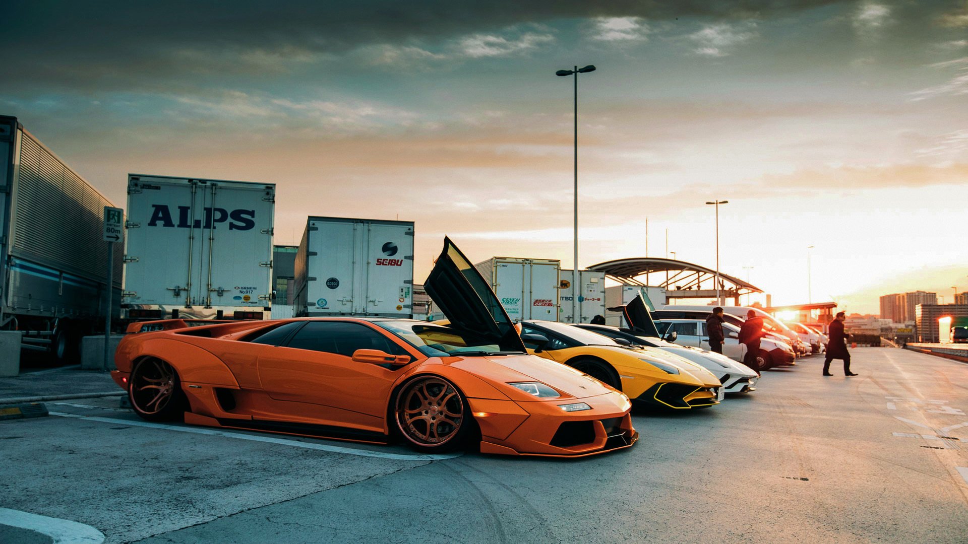 冠军划水幅度与水面高度完美契合，划水冠军表情包