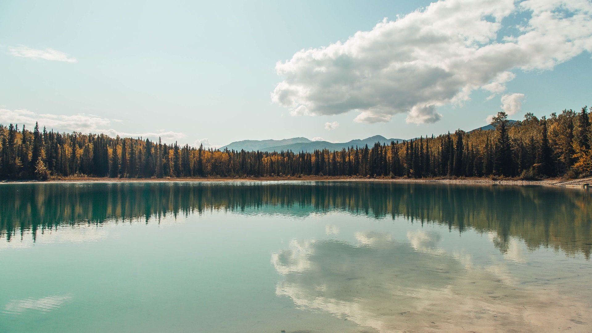 加拿大队如何通过团队配合在国际乒联混合团体世界杯中脱颖而出