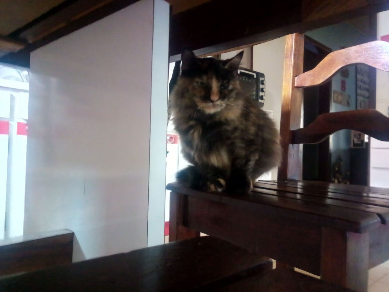 布莱顿中场跑动覆盖大幅增强防守面积，布莱顿ds