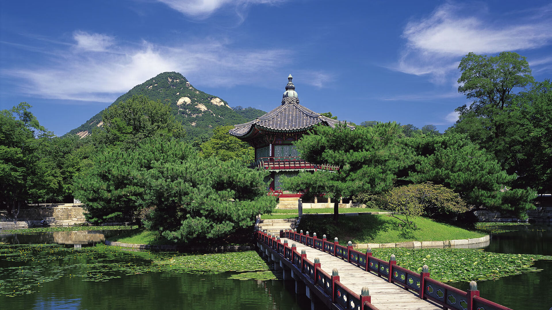 新加坡队赛制解析：如何利用赛制提升整体团队的竞争力，新加坡队第几个出场