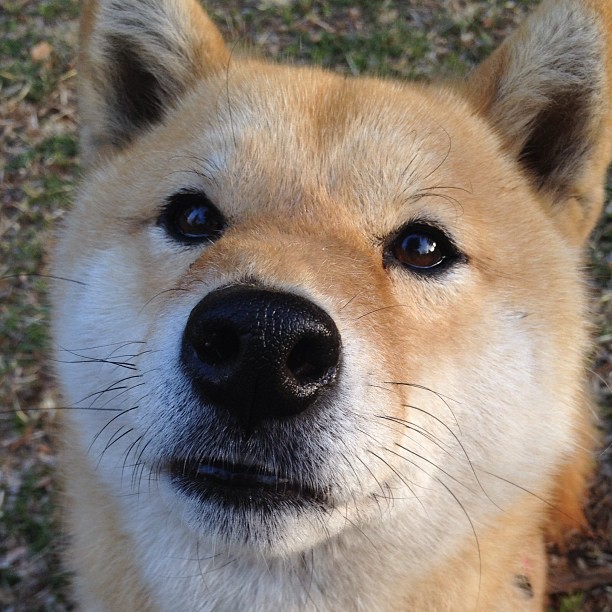 朗斯重视球权争夺掌握场面主动，朗斯vs兰斯比分