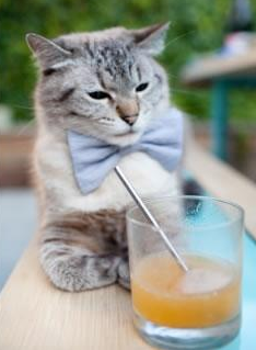 滑雪场所安全检查全面开展，滑雪场安全生产检查