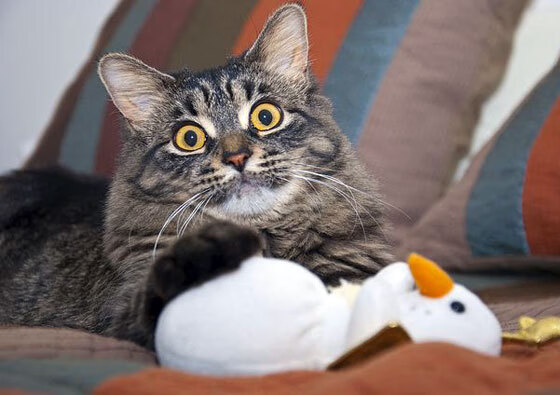 滑雪场所安全检查全面开展，滑雪场安全生产检查