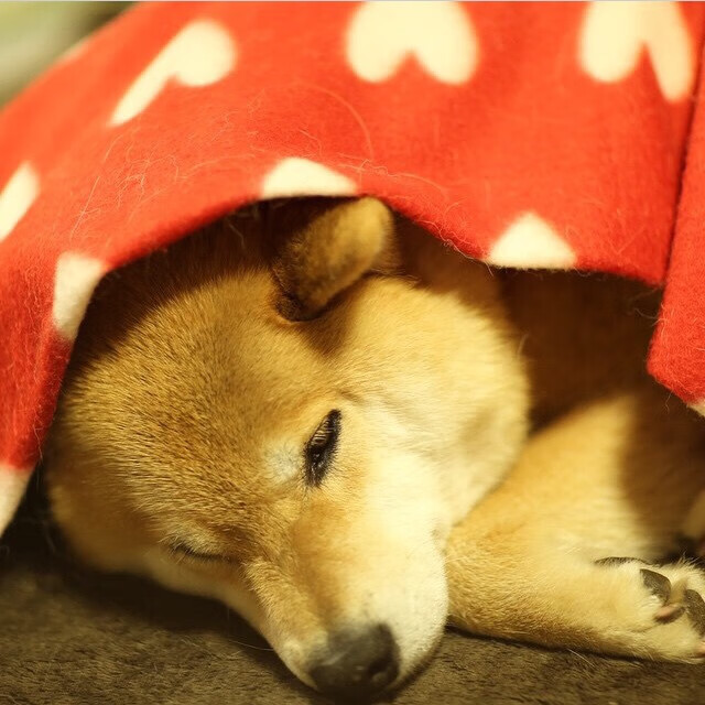 边锋内切是否成为战术进攻组织的常规环节，内切型边锋和伪边锋冲突吗