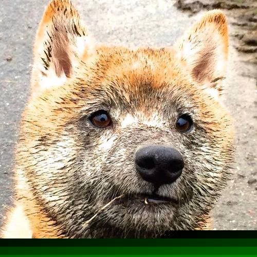 乌拉圭队全线战力提升，期待国际赛场精彩表现