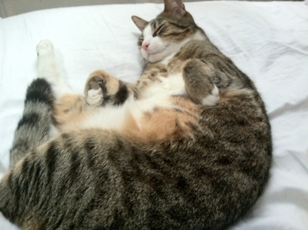 威少被赞替补最强带动板凳效率，威少的篮板能力